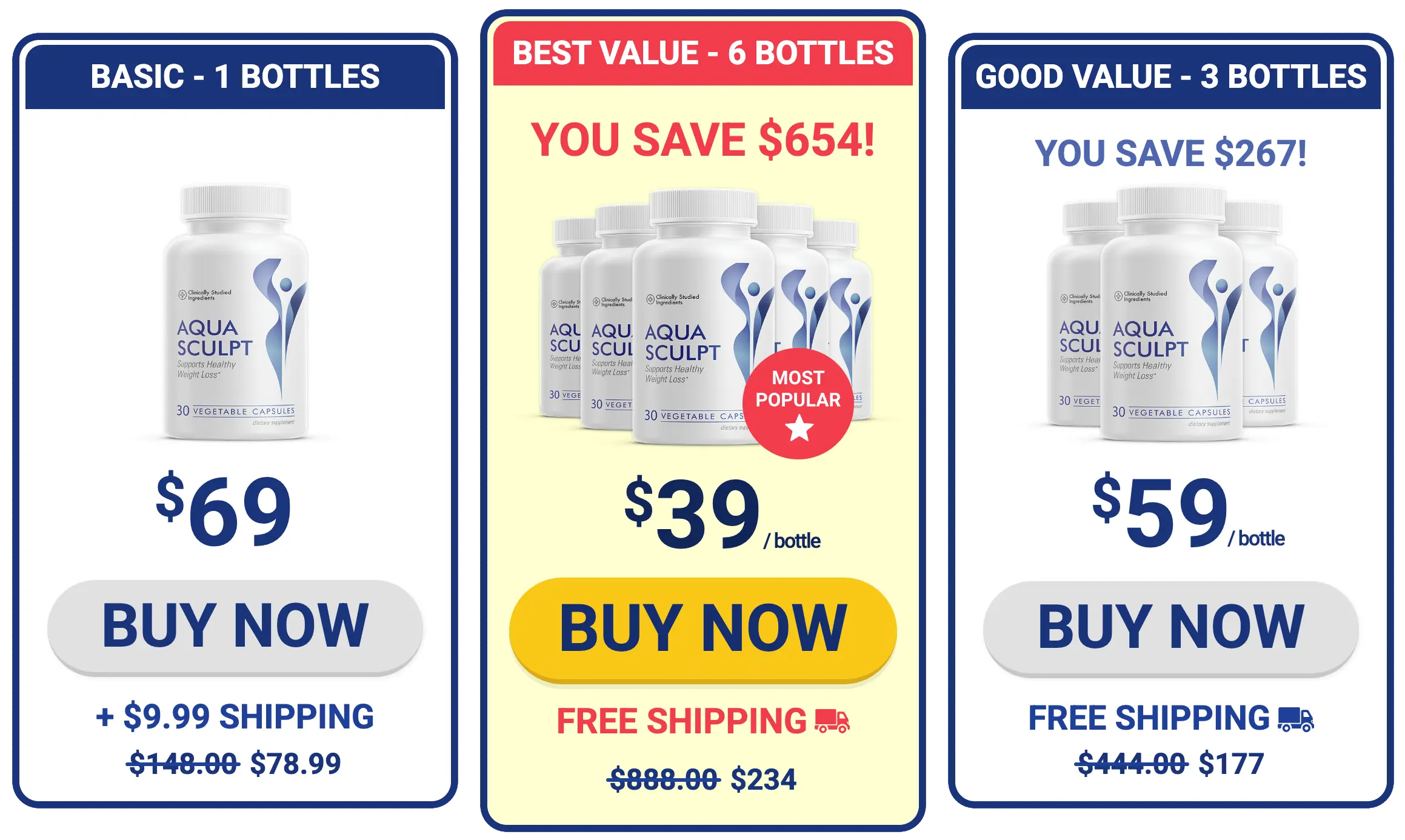 AquaSculpt  Pricing Detail